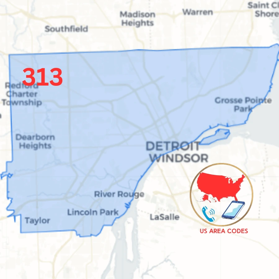 313 Area Code