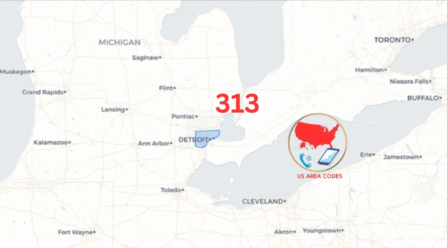 313 Area Code Location